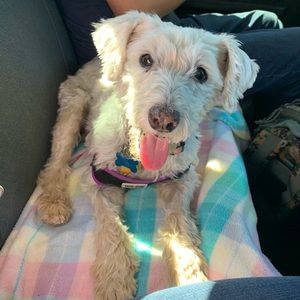 Meet your Posher, Kayla